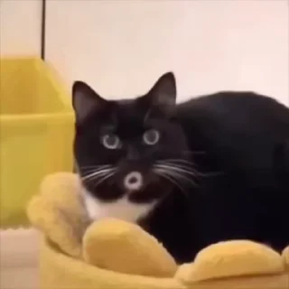 😮