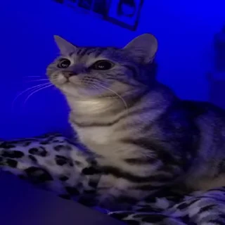 👀