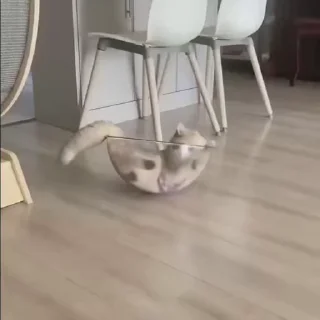 🙄