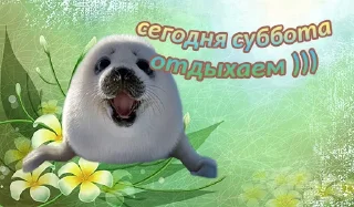 🤩