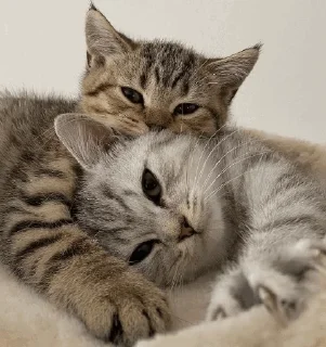 ❤