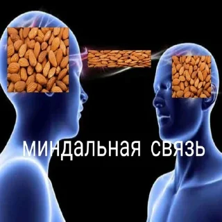 🌰
