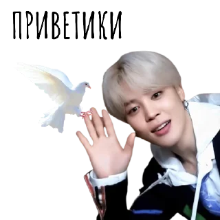 🕊️