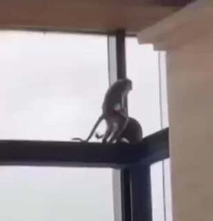 🥰