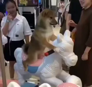🎠