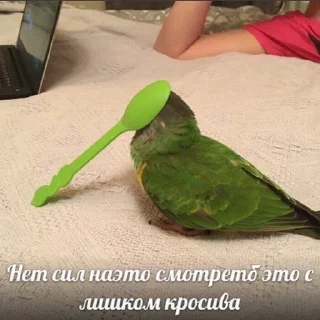 ☺️