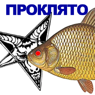 🐠