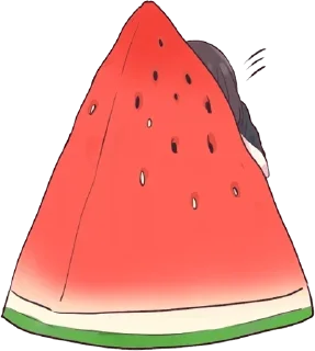 🍉
