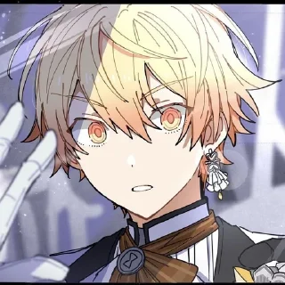 🌟