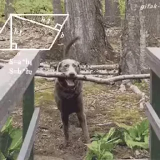 😁