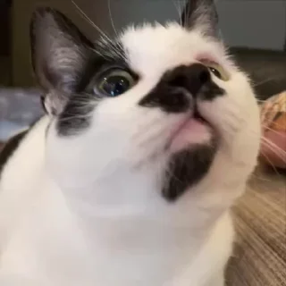 ☺️