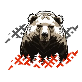 🐻