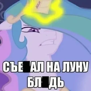 🌟