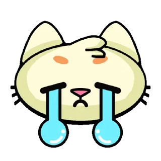 😿