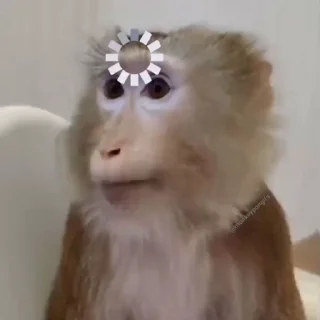 🤩