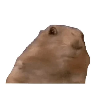 😳