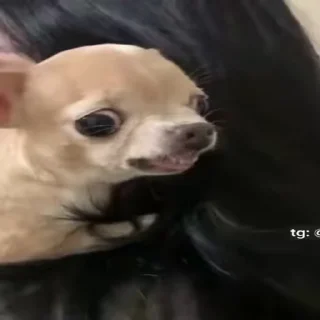 😡