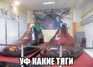 👞