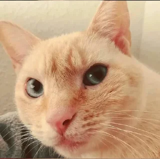 🤨