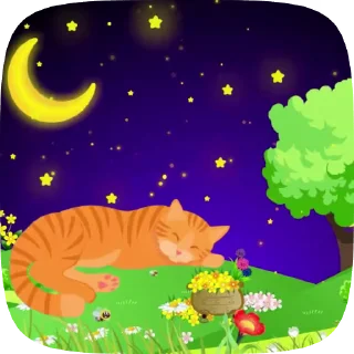 🌜