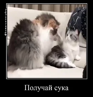 👊