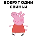 🐷
