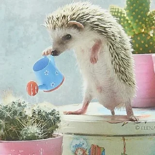 💦