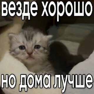 😢