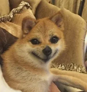 😏