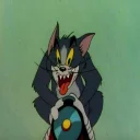 🐱