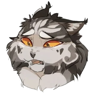 🐱