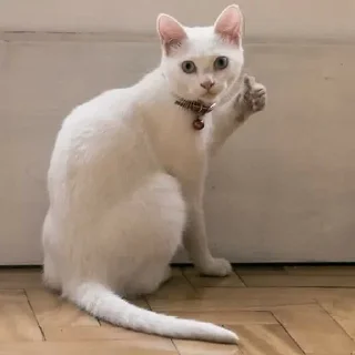 👍