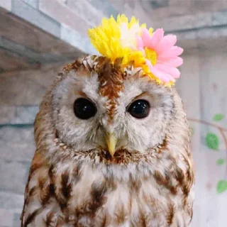 😊