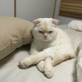 🙂