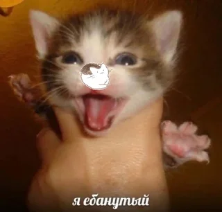 😏