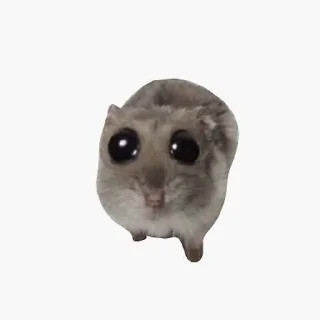 🥺
