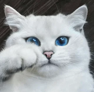 💙