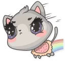 🌈