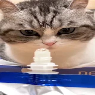 🤨