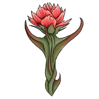 🌹