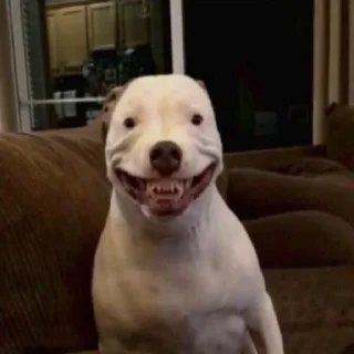 😁