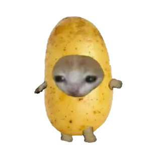 🥔