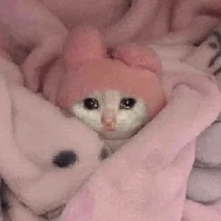 🥺