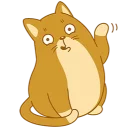Swift Teodor Cat @softwareports