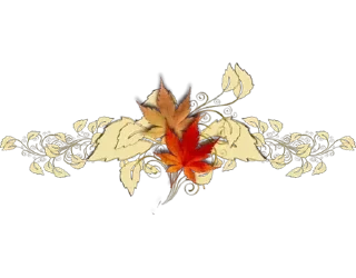 🍂