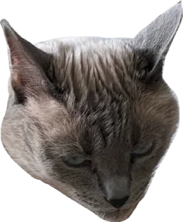 😠