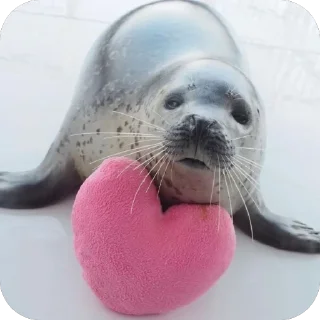 ❤