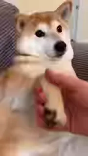 🤝