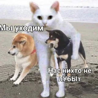 🥺