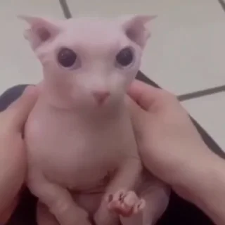 😥